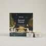 Sacred Forest Scented Tealights, thumbnail 1 of 2