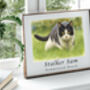 Personalised Watercolour Pet Portrait Custom Dog, Cat, Animal Art, thumbnail 4 of 6