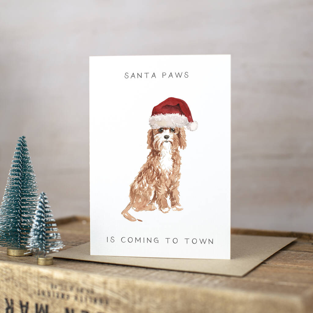 'Santa Paws' Cavapoo Christmas Card By Here's To Us
