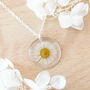 Real Daisy Necklace, thumbnail 1 of 7