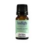 Get Well Stay Well Pure Essential Oil Blend, thumbnail 2 of 2