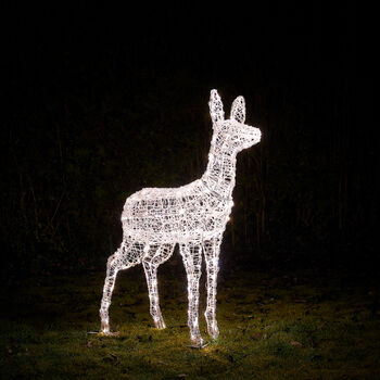 Swinsty Doe Dual Colour LED Light Up Reindeer One.05m, 2 of 6
