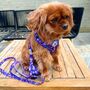 Ditsy Floral Padded Dog Lead Dog Leash, thumbnail 2 of 8