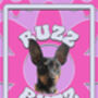 Custom Pet Cat Dog Portrait Groovy Print, thumbnail 4 of 5