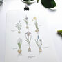 ‘Spring Bulbs Chart’ Botanical Giclée Art Print, thumbnail 3 of 3