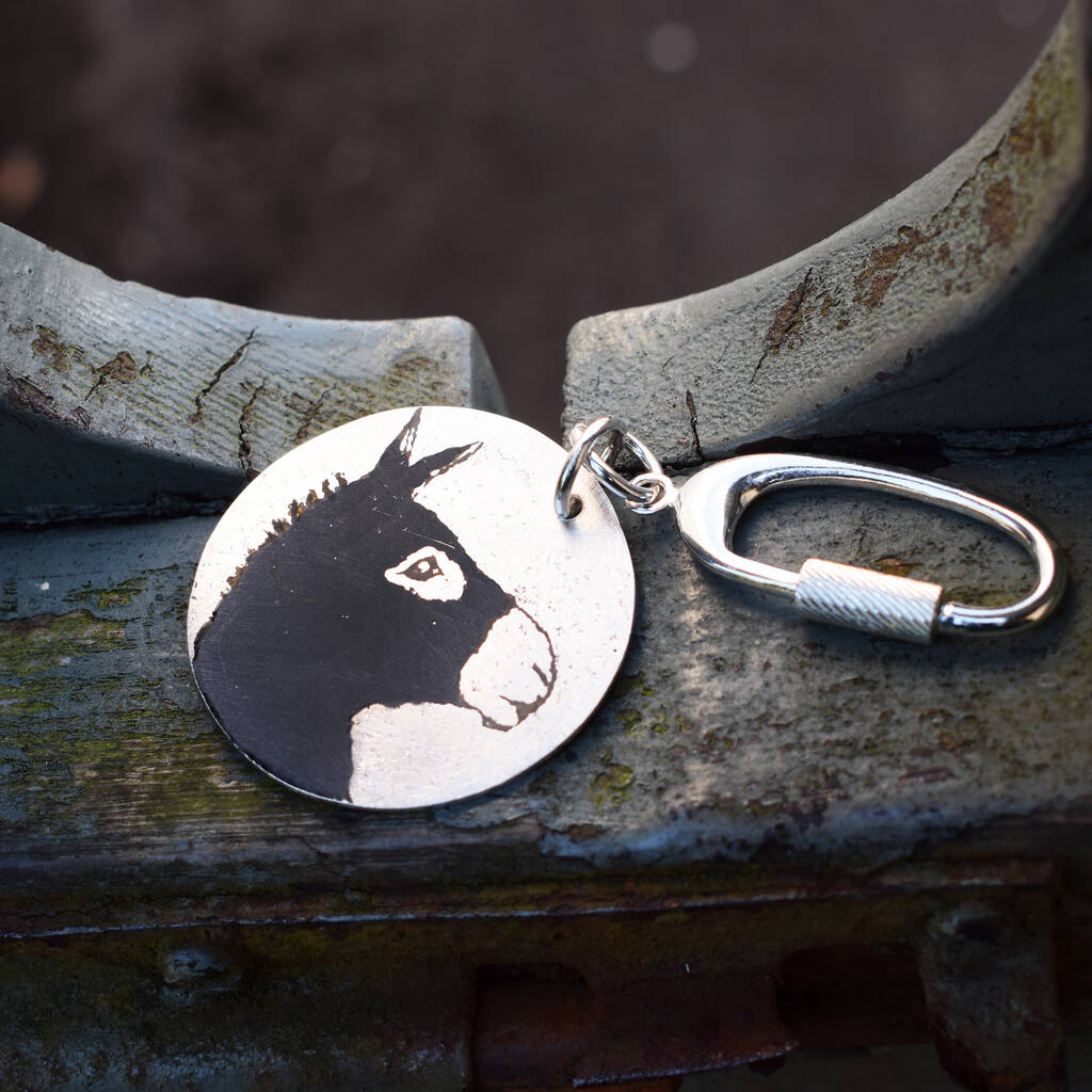 Image of Silver Donkey Keyring