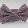 Purple Star Dog Bow Tie, thumbnail 3 of 8