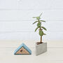Sustainable Concrete Mini Vessel Planter Triangular, thumbnail 10 of 11
