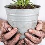 Zinc Plant Pot, thumbnail 1 of 3