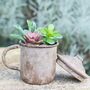 Cooking Pot Planter With Choice Of Plants, thumbnail 1 of 2
