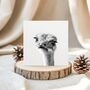 Hand Drawn Ostrich Illustration Greeting Card, thumbnail 2 of 6