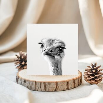 Hand Drawn Ostrich Illustration Greeting Card, 2 of 6