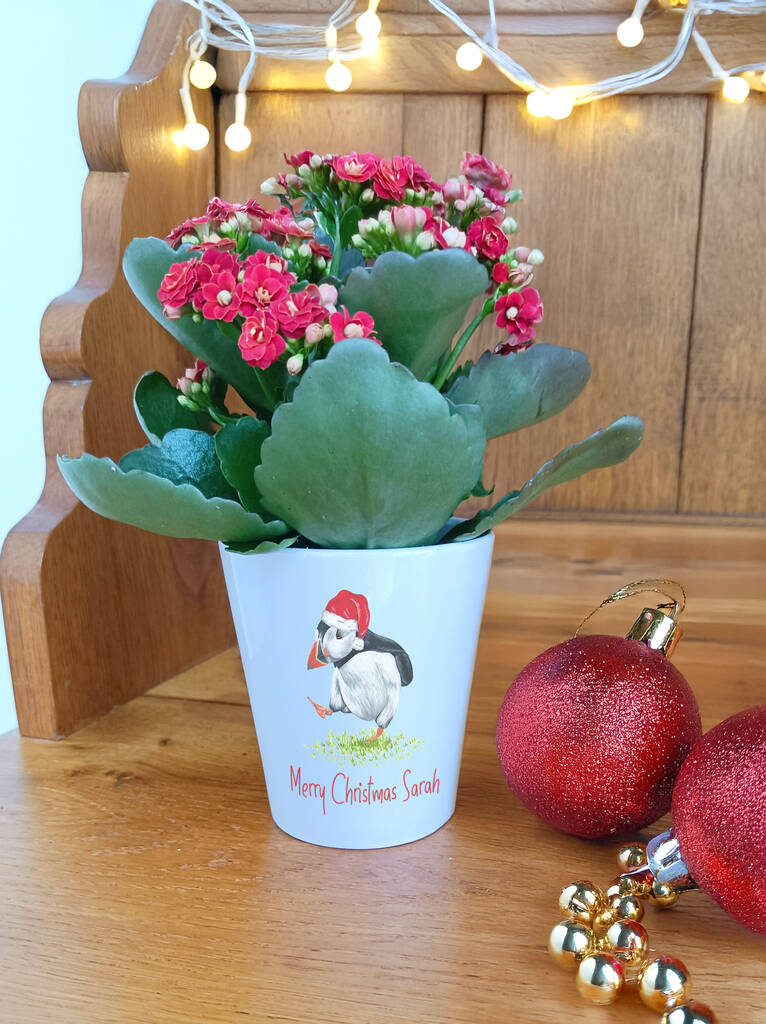 Christmas Puffin Plant Pot. Personalised Flowerpot, 1 of 5