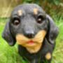 Dachshund Garden Ornament With Green Boots Sausage Dog, thumbnail 4 of 9
