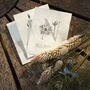 Grow Your Own Dried Flower Bouquet And Vase Gift Set, thumbnail 12 of 12