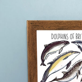 Dolphins Of Britain Wildlife Print, 2 of 9