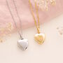 Heart Shape Memorial Urn Necklace For Pets, thumbnail 1 of 3