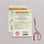 Wooden Brontosaurus Dinosaur Christmas Tree Decoration, thumbnail 2 of 3