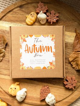 Autumnal Wax Melt Selection Box For Autumn Decor, 4 of 10