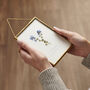 Personalised In Memory Forget Me Not Pressed Flower Frame, thumbnail 1 of 4