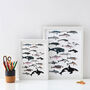 Whales And Dolphins Print, thumbnail 2 of 2