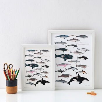Whales And Dolphins Print, 2 of 2