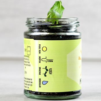 Personalised Bug Eating Plant Jar Grow Kit, 7 of 9