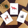 Woodland Animal Specimens Greetings Card Pack, thumbnail 1 of 6