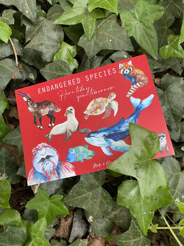 Endangered Species Flash Cards, 6 of 9