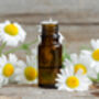 Herb Plants, Chamomile 'Roman' In A One Litre Pot, thumbnail 4 of 7