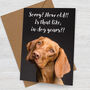'Dog Years' Birthday Card With Vizsla, thumbnail 1 of 1