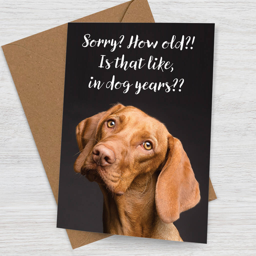 'Dog Years' Birthday Card With Vizsla