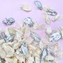 Ivory And Silver Wedding Confetti | Biodegradable Petal, thumbnail 1 of 3
