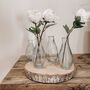 Set Of Four Clear Glass Vases Assorted, thumbnail 5 of 5