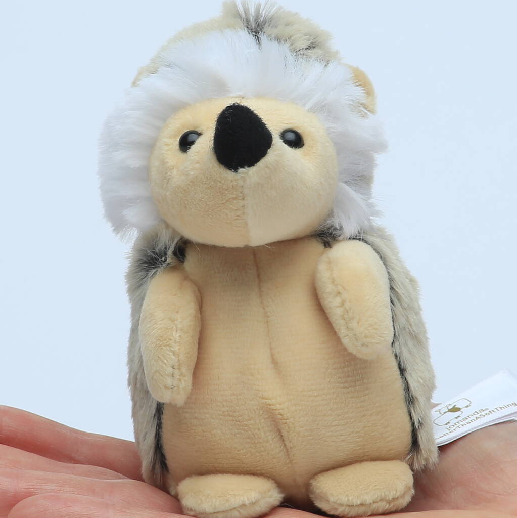 Image of Hedgehog Sending You A Hedge Hug, Gift Boxed