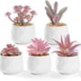 Five Mini Artificial Succulent Plants In White Pots, thumbnail 9 of 11