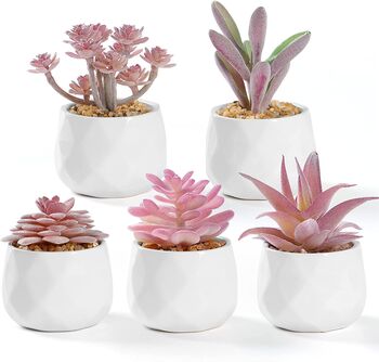 Five Mini Artificial Succulent Plants In White Pots, 9 of 11