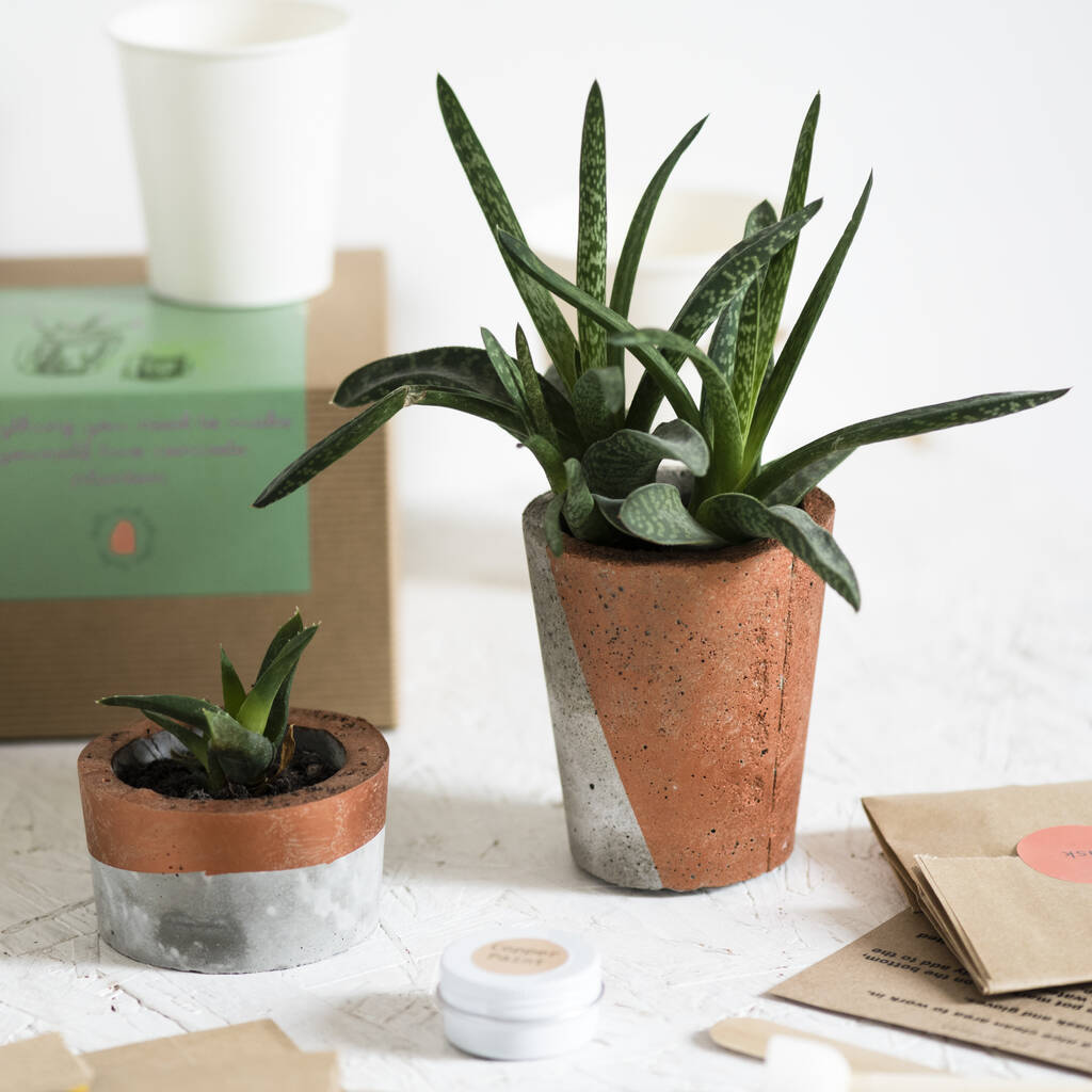 Make Your Own Concrete Planter Kit By Bells and Whistles Make