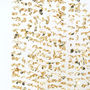 Gold Foil Flower Backdrop Bunting Decoration, thumbnail 2 of 3