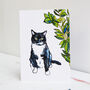 Tuxedo Cat Greetings Card, thumbnail 1 of 10