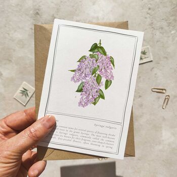 Set Of Six Different Purple And Blue Floral Notecards, 3 of 11