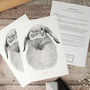Personalised Baby Rabbit Footprint Kit, thumbnail 4 of 5