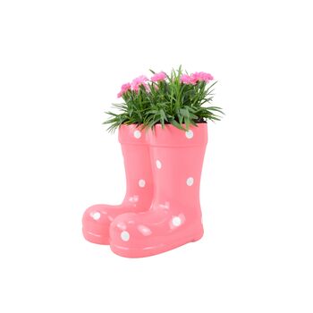 Pink Polka Dot Wellies Planter With Dianthus Plant, 3 of 5