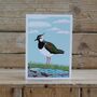 A Pack Of Four Mixed Bird Cards, thumbnail 4 of 5
