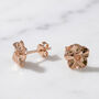 Forget Me Not Gold Vermeil Stud Earrings, thumbnail 6 of 10