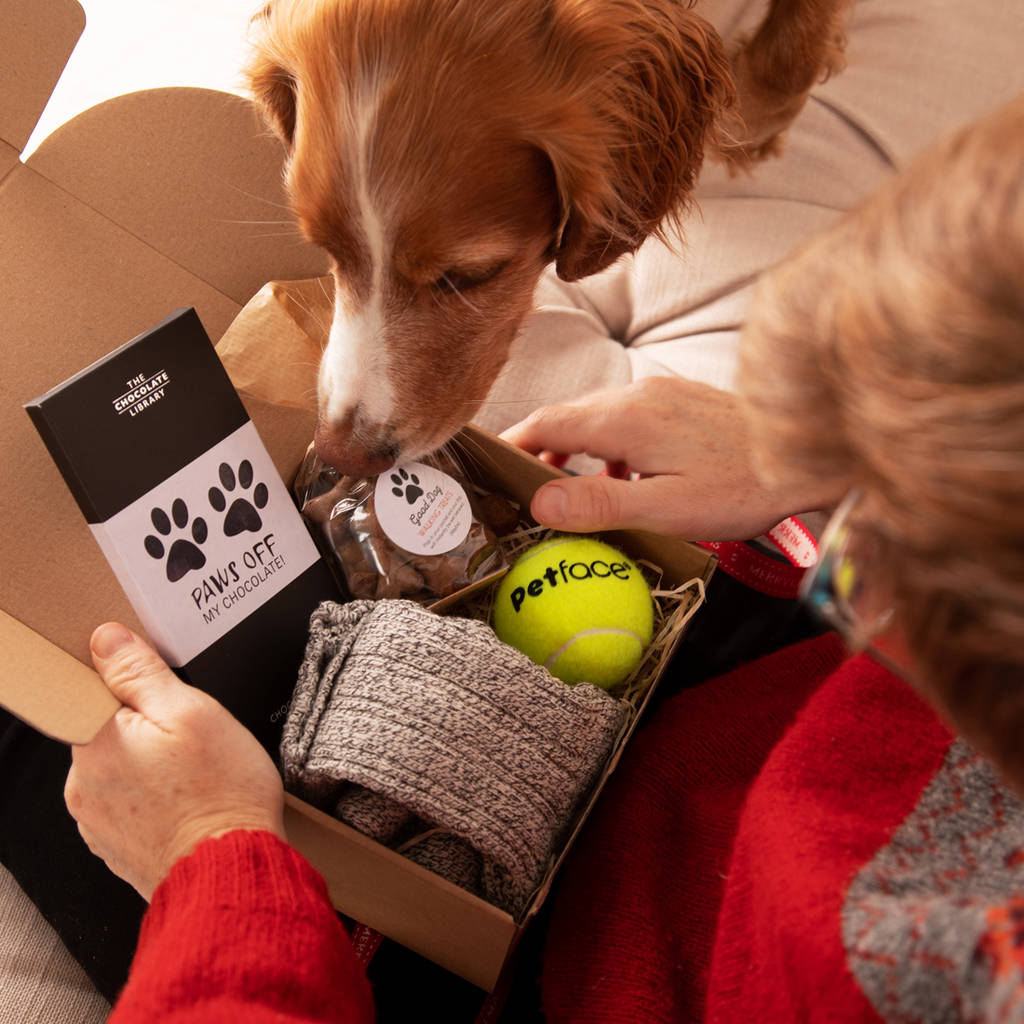 Dog And Owner Shared Dog Walking Gift Set By Quirky ...