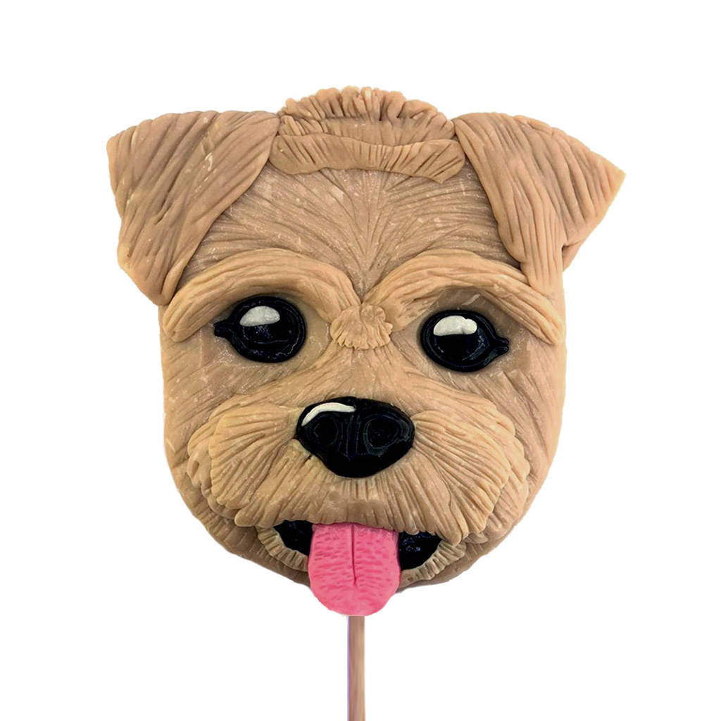 personalised candy pet lollipop by spun candy | notonthehighstreet.com