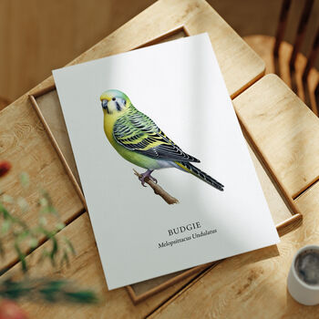 Budgie Wall Print Gift, 5 of 6