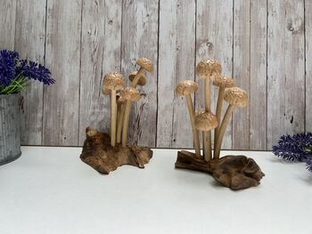 Assorted Wooden Mushroom Forest On Teak Root Wood, 2 of 12