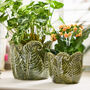 Set Of Two Botanical Fern Leaf Planters, thumbnail 1 of 4
